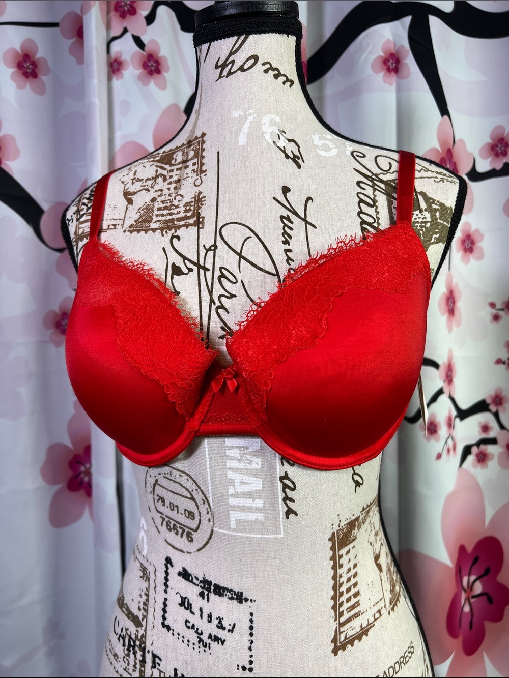 Auden Red Satin Lace Push-Up Bra